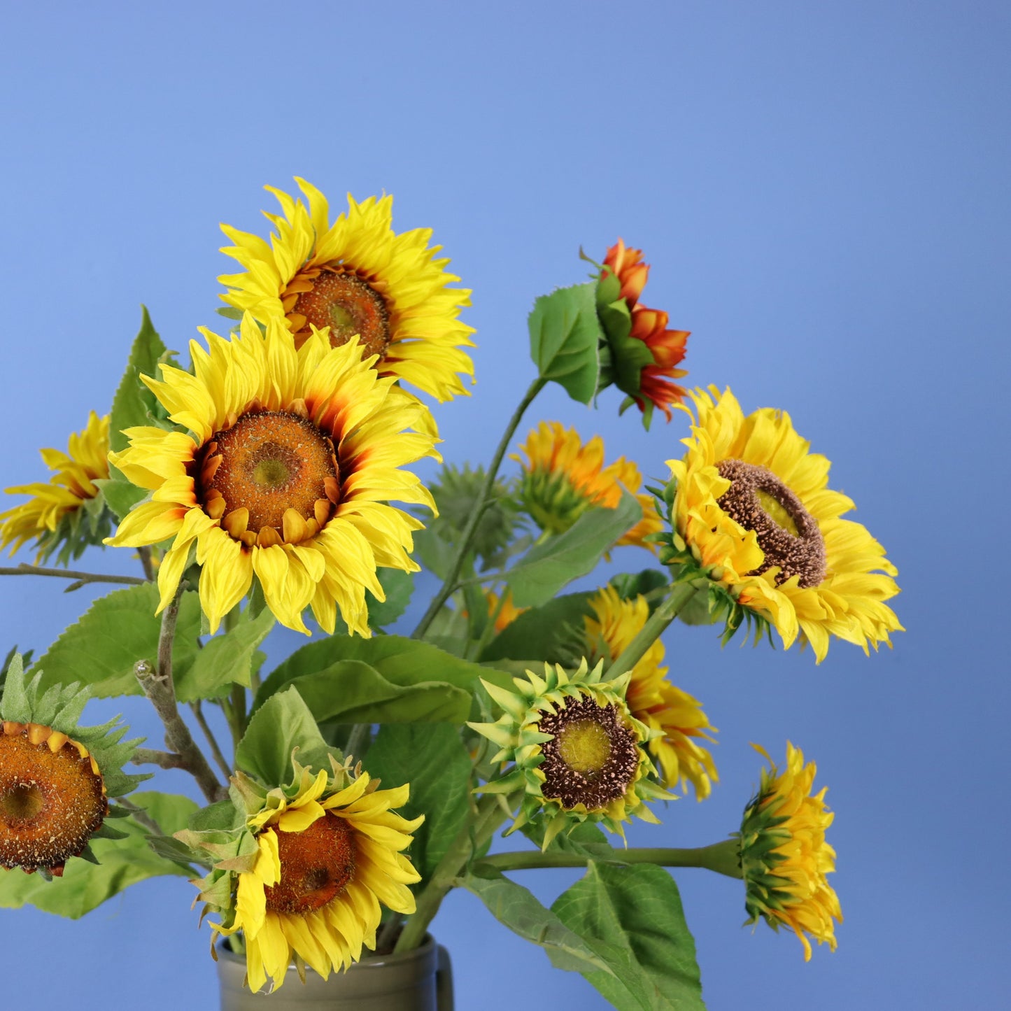 XL - Armin - Return to Sender vaas