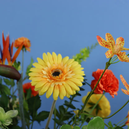 L - Jacob  - Return to Sender vaas