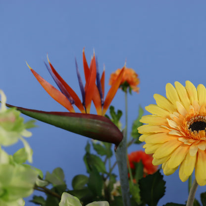 L - Jacob  - Return to Sender vaas