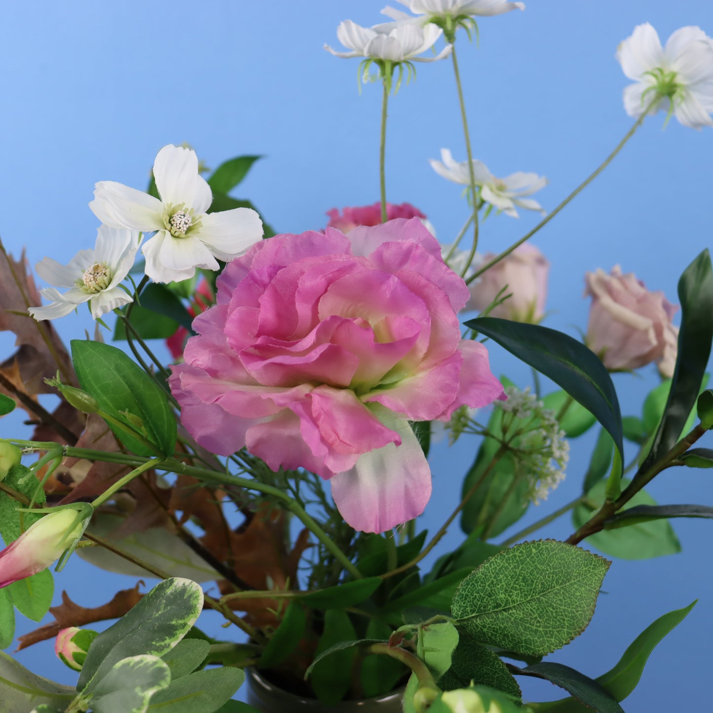 M - Lev - Return to Sender vaas