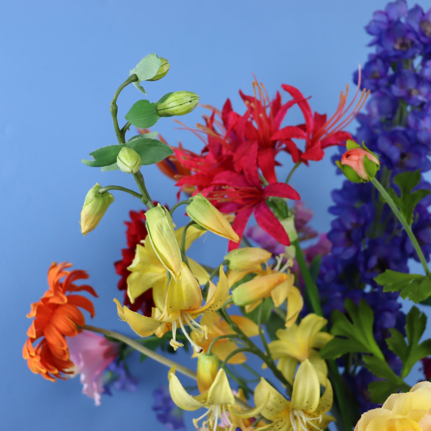 XL - Lindsay - Return to Sender vaas