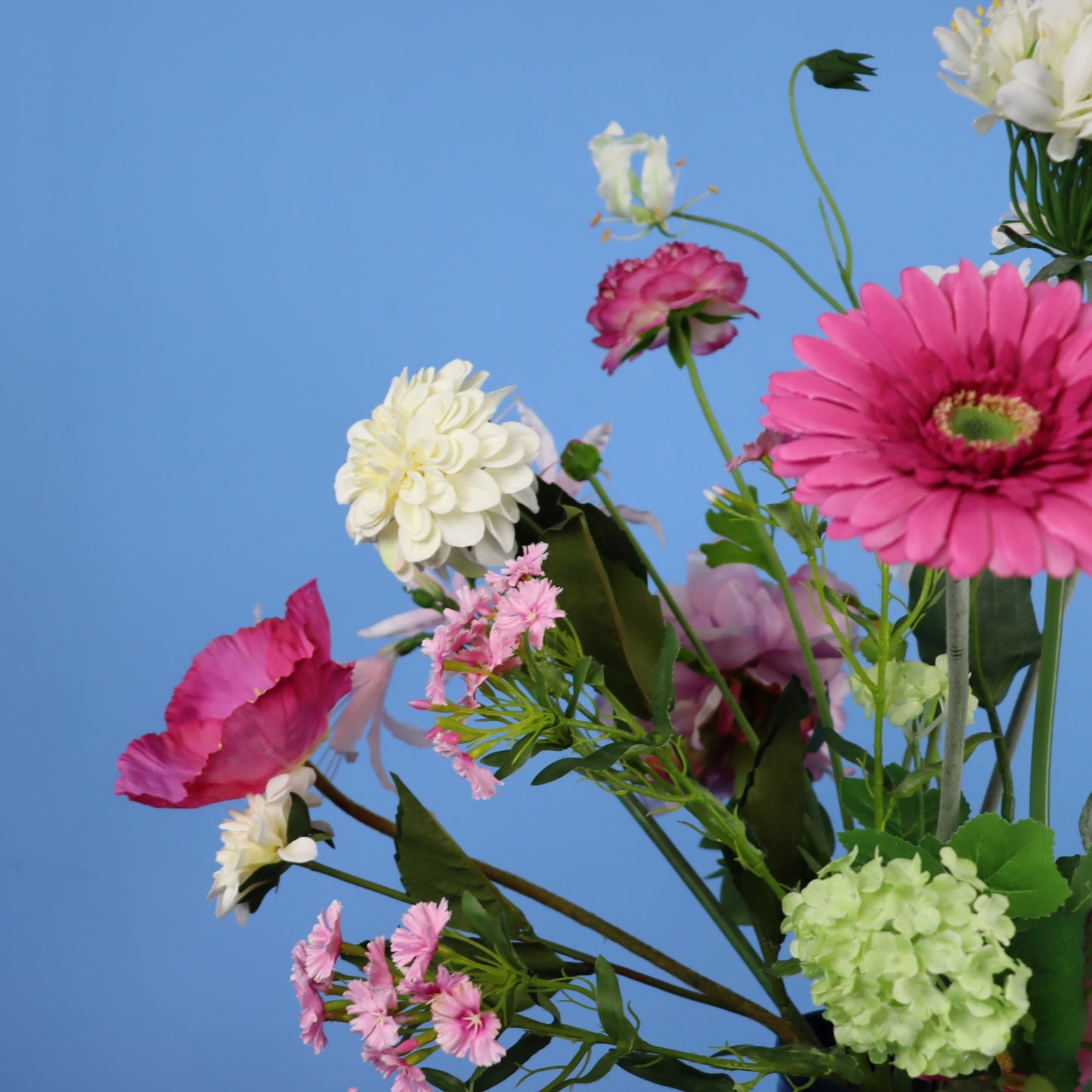 L - Ciska - Return to Sender vaas