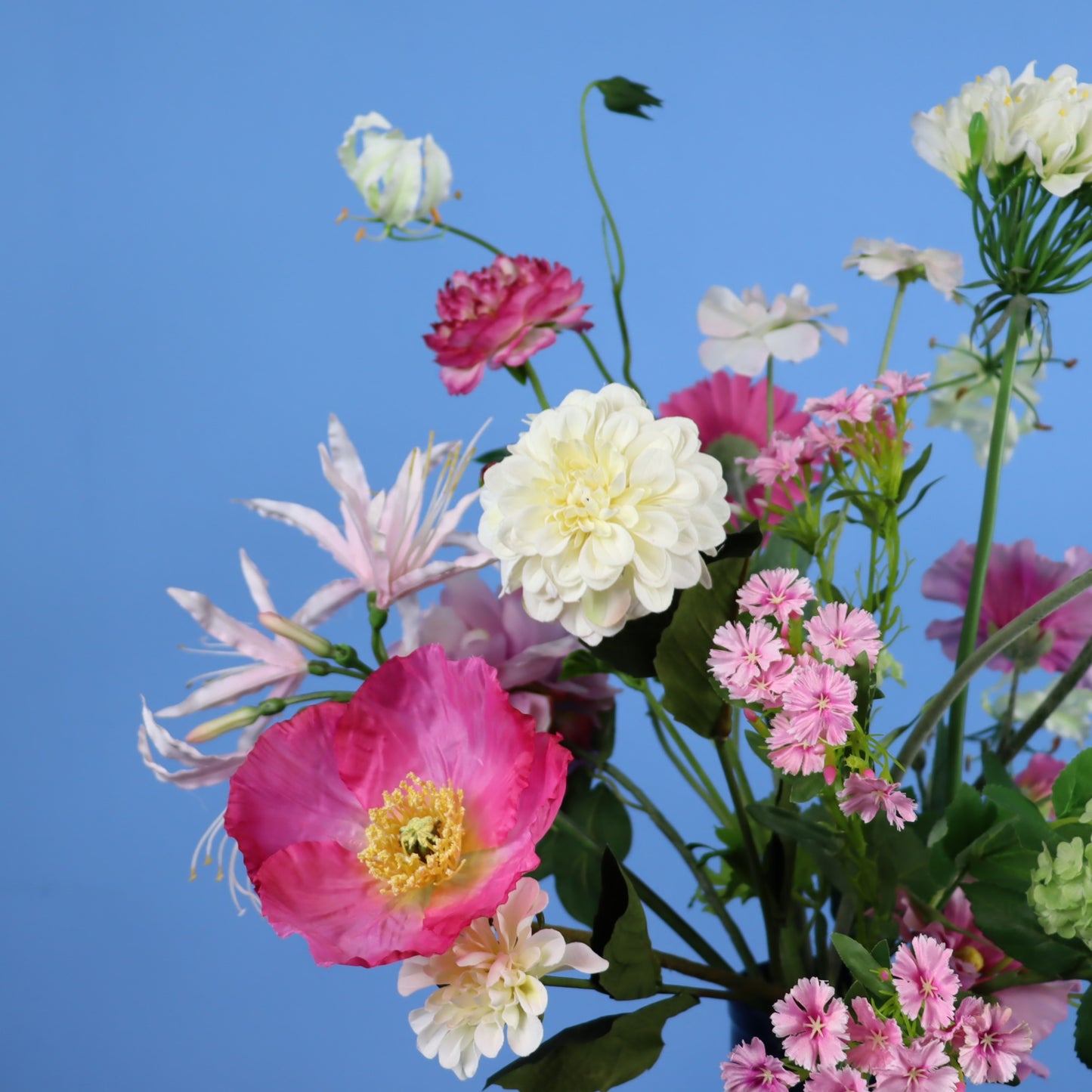 L - Ciska - Return to Sender vaas