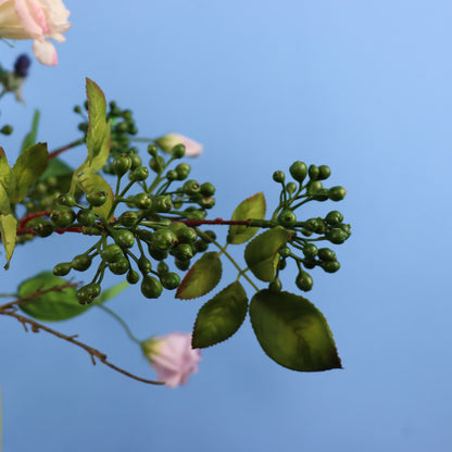 XL - Marissa - Return to Sender vaas