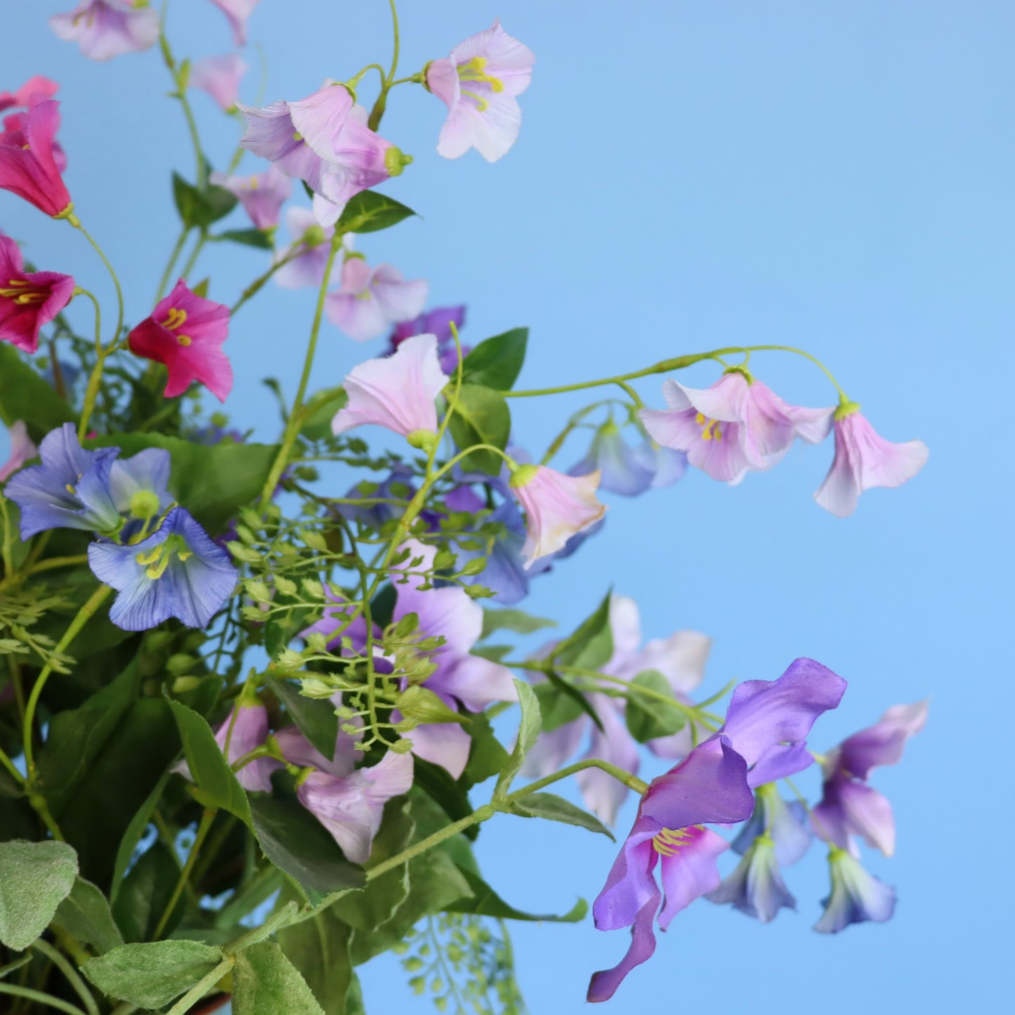 L - Noa - Reliving vaas