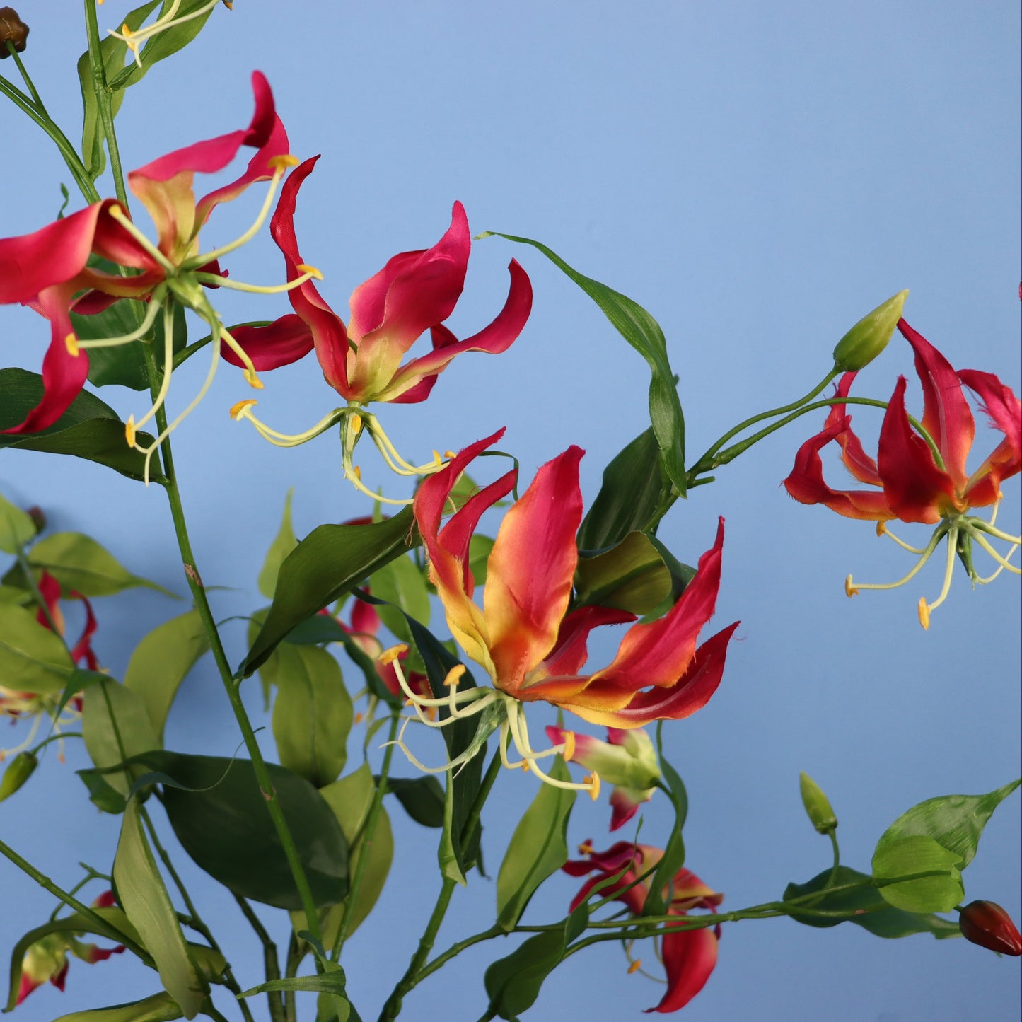 L - Rupert - Pip Studio vaas