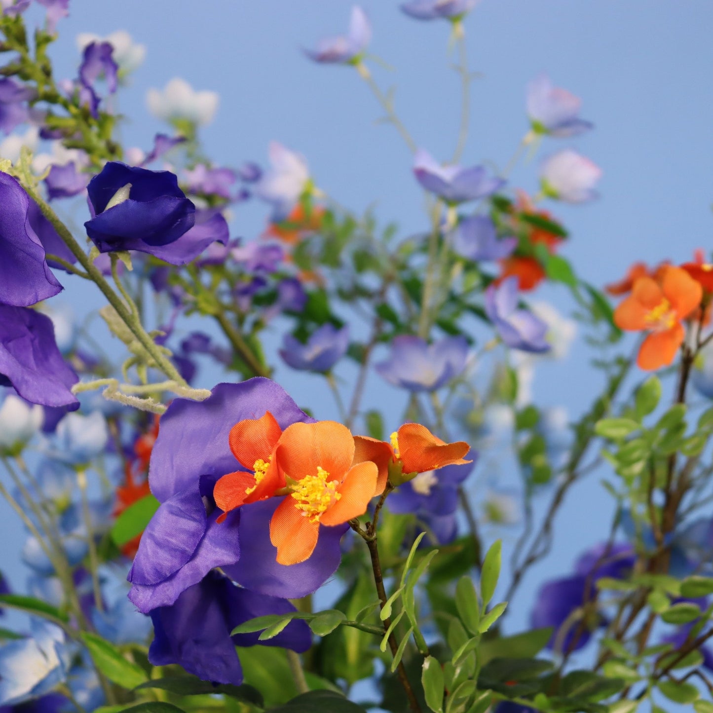 L - Kenny - Return to Sender vaas