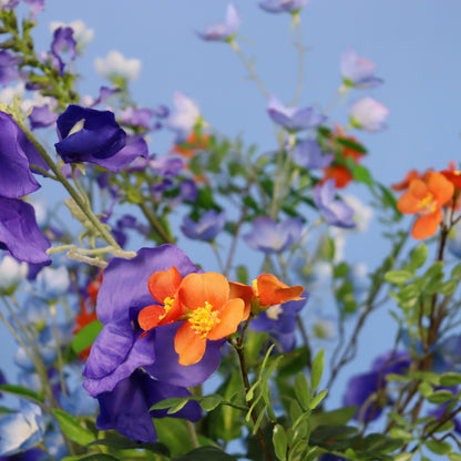 L - Kenny - Return to Sender vaas