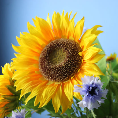 L - Caleb - Piet Boon vaas