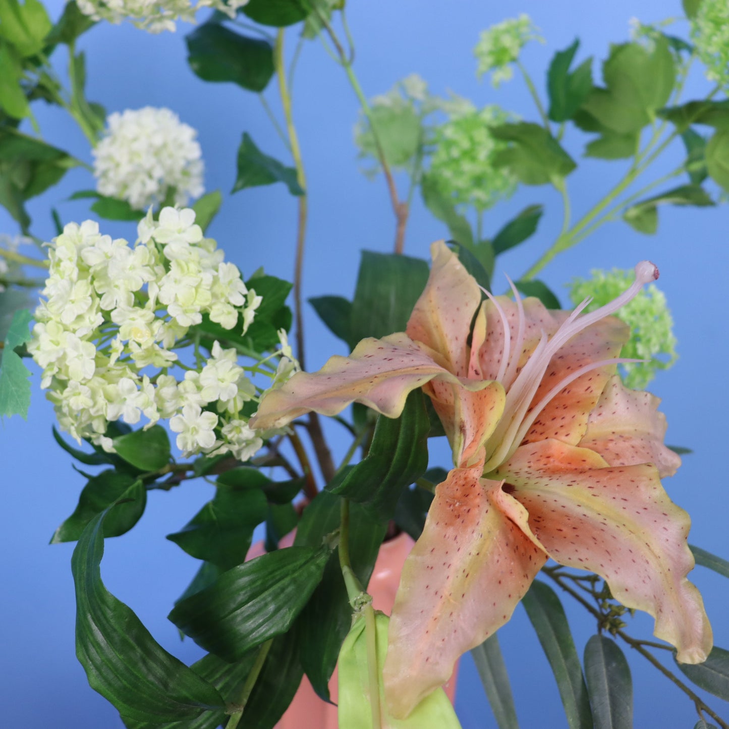 L - Kaya - Sissy Boy vaas