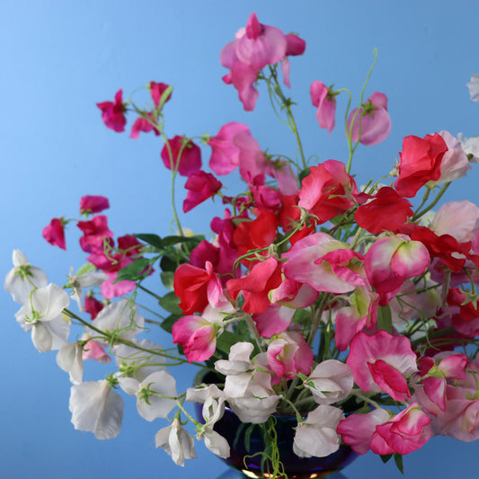 L - Noek - Pols Potten vaas