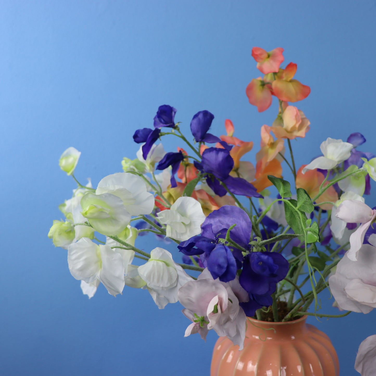 L - Benito - Sissy Boy vaas