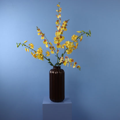 XL - Alberto - Sissy Boy vaas