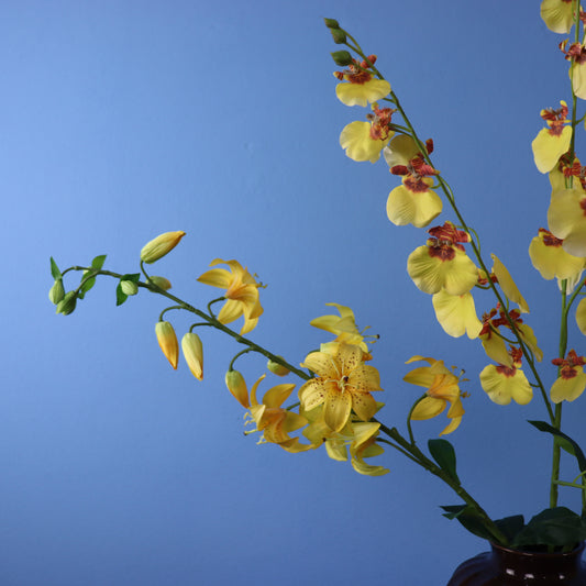 XL - Alberto - Sissy Boy vaas