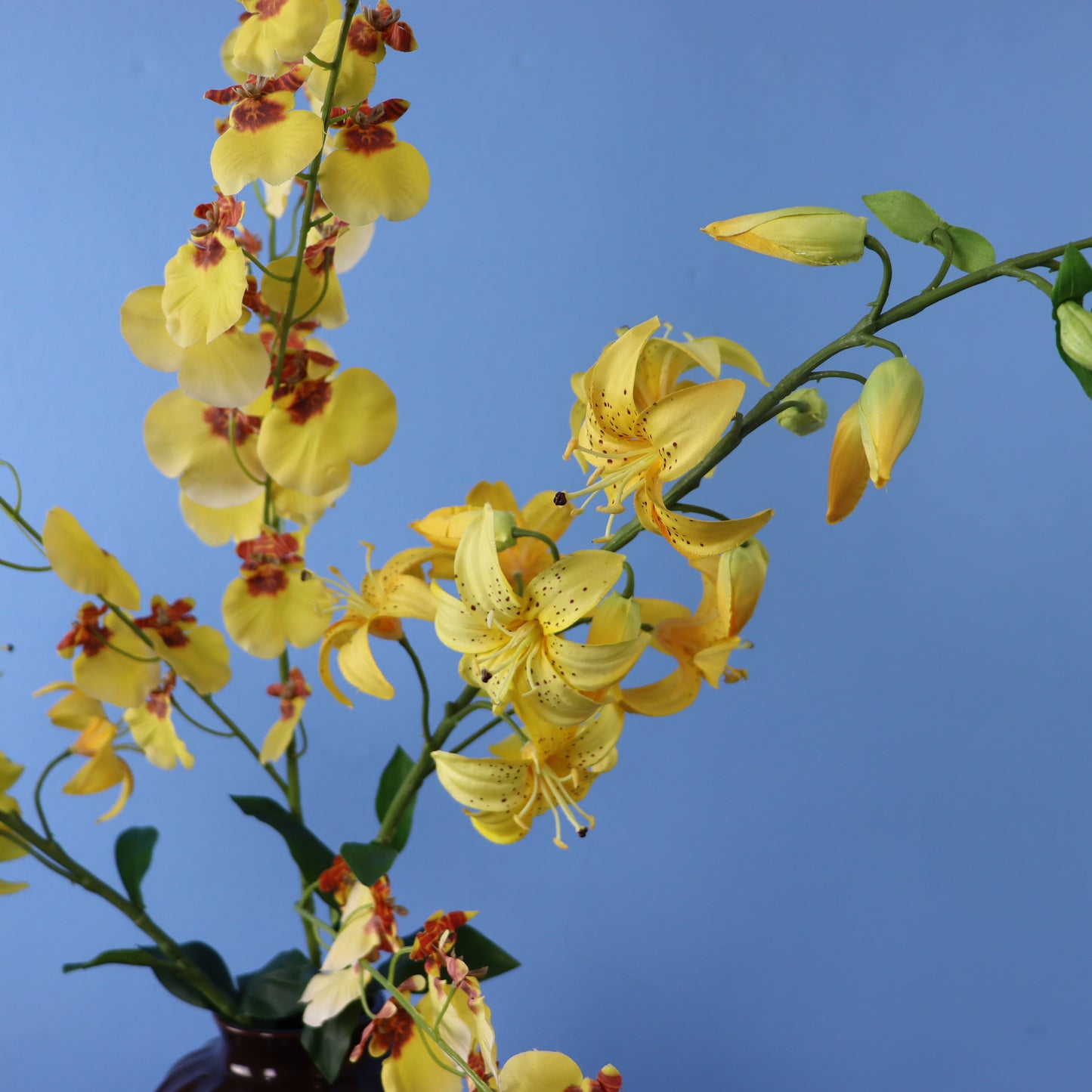 XL - Alberto - Sissy Boy vaas