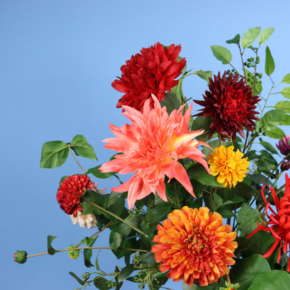 XL - Aven - Return to Sender vaas