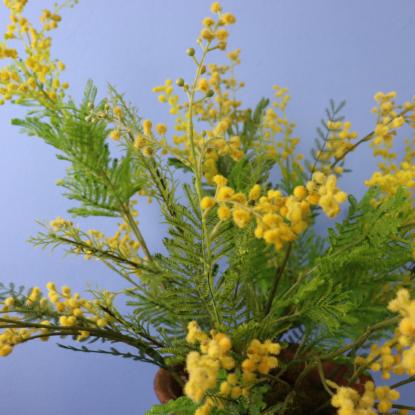 XL - Rive - Stenen pot