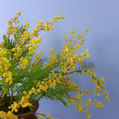 XL - Rive - Stenen pot