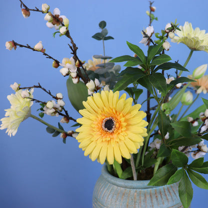 L - Blaire - Reliving vaas