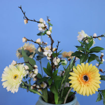 L - Blaire - Reliving vaas