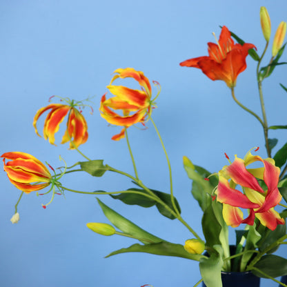 L - Jolanda - Return to Sender vaas