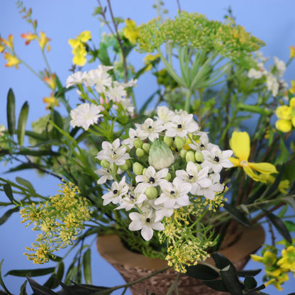 XL - Odessa - Kartent vaas