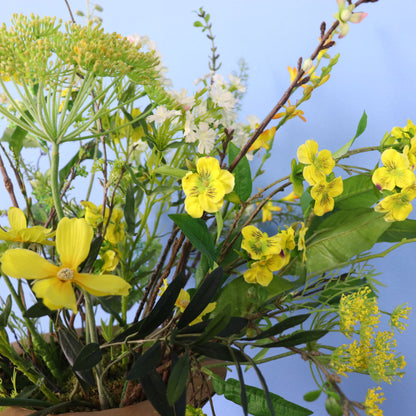 XL - Odessa - Kartent vaas