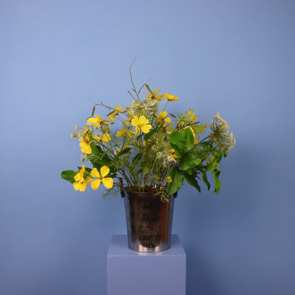 L - Carmen - Wijnkoeler