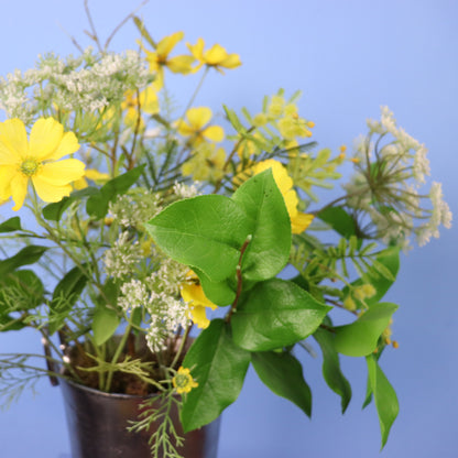 L - Carmen - Wijnkoeler