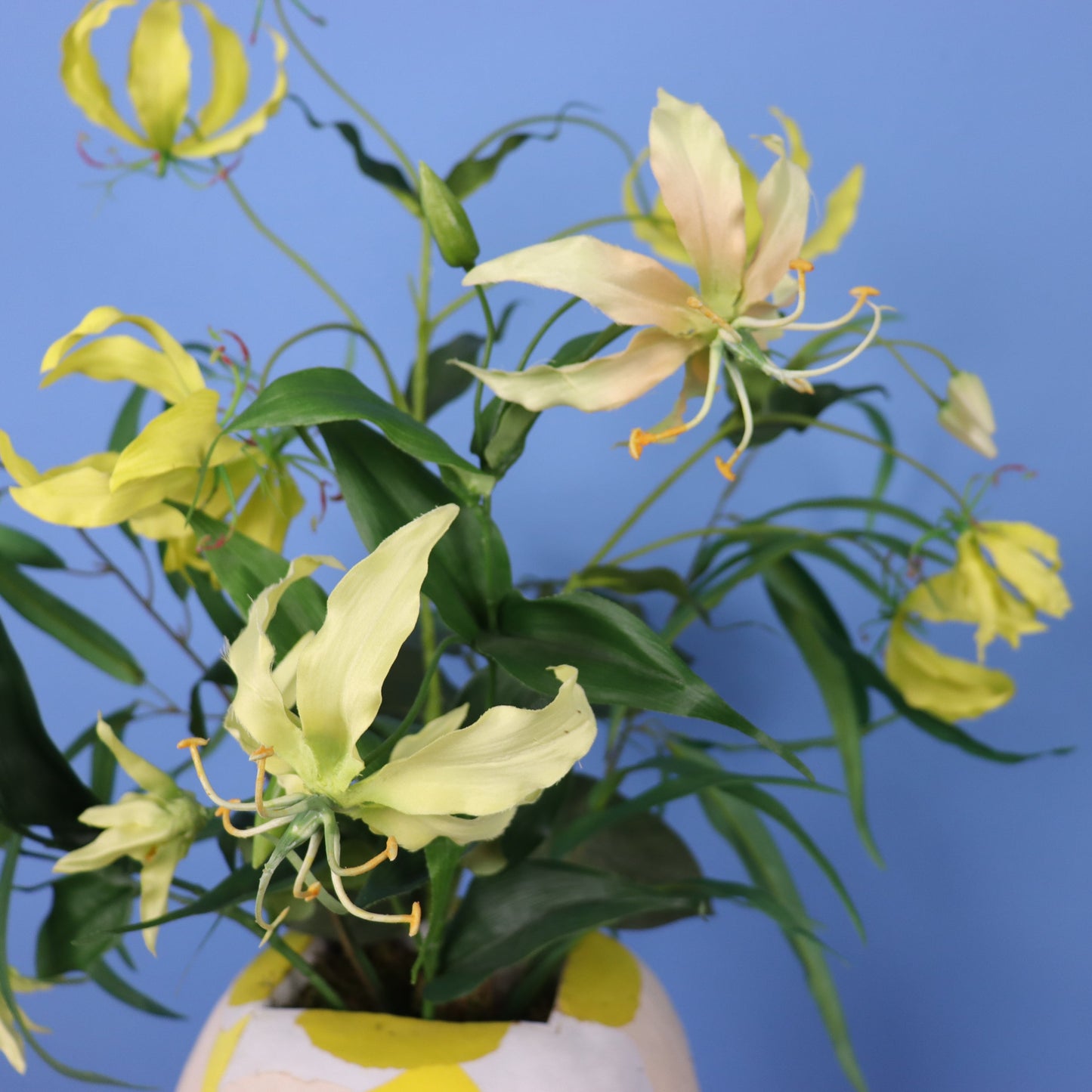 XL - Lindert - Nic&Mic FlipFlop vaas