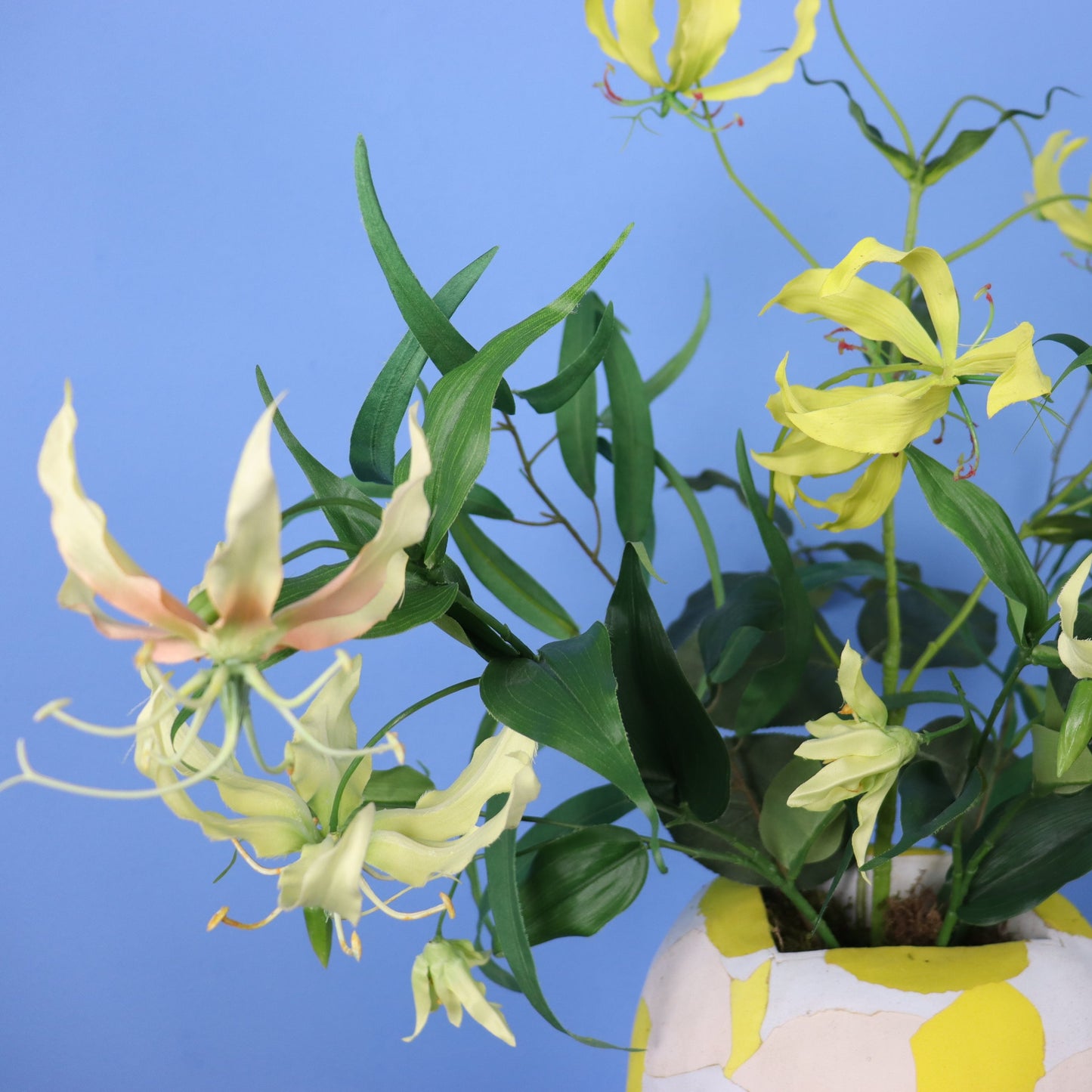 XL - Lindert - Nic&Mic FlipFlop vaas