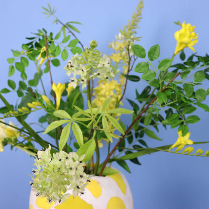 XL - Lyn - Nic&Mic FlipFlop vaas (kopie)