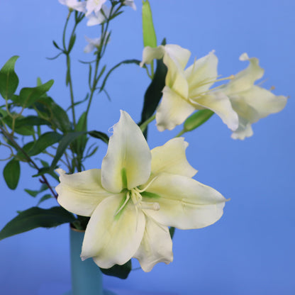 M - Franklin -  Pip Studio vaas