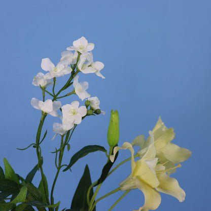 M - Franklin -  Pip Studio vaas