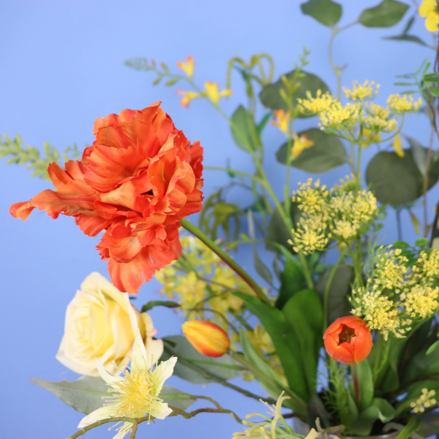 XL - Liz - Return To Sender