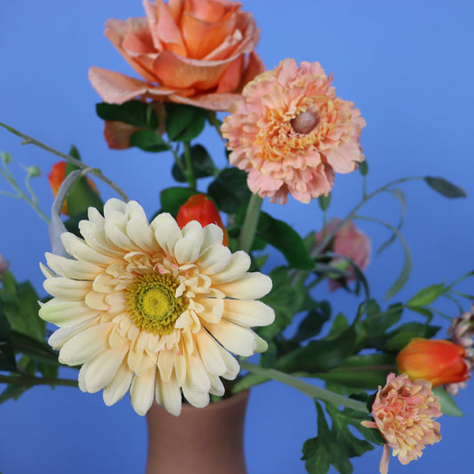 XL - Brianna - Return to Sender vaas