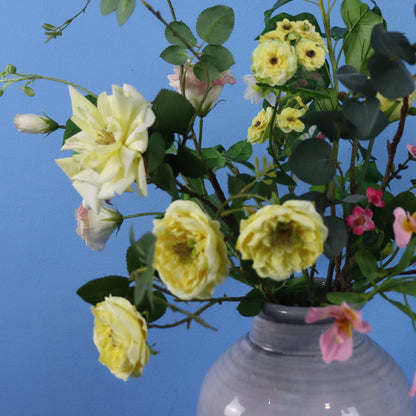 L - Nolan - Grijze kruikvaas