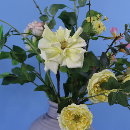 L - Nolan - Grijze kruikvaas