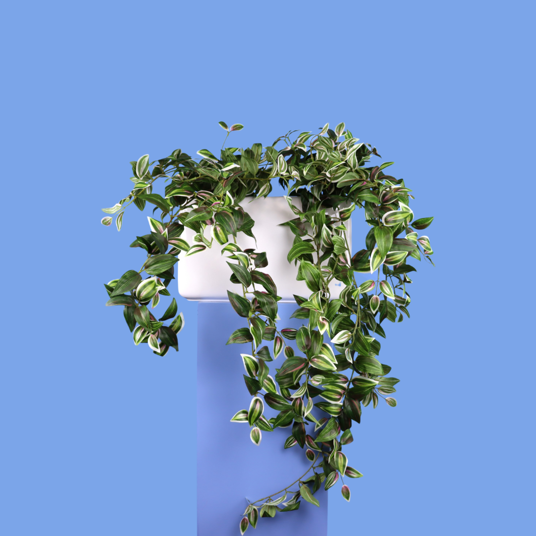 XL- Lima - Witte plantenbak