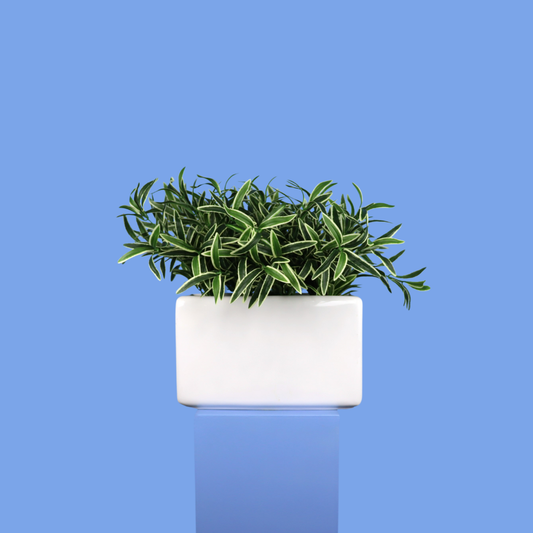 XL- Valletta - Witte plantenbak