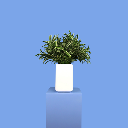 XL- Valletta - Witte plantenbak