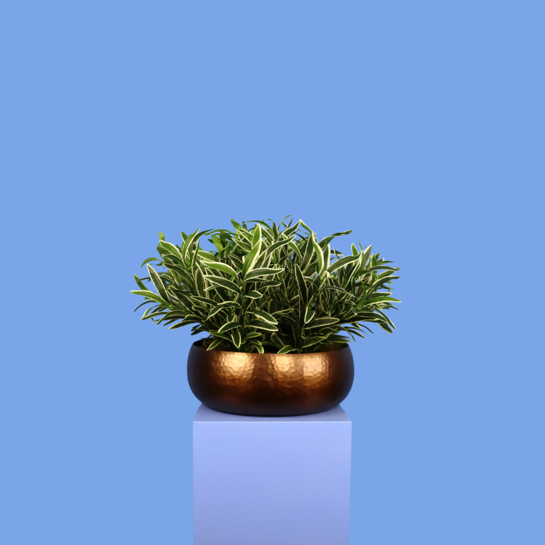 XL- Wellington - Witte plantenbak