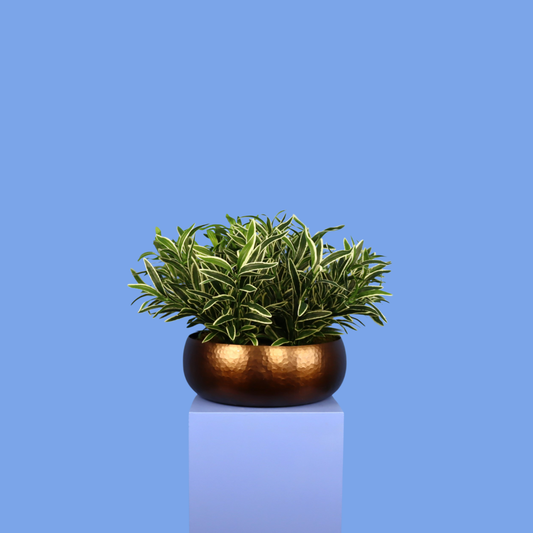 XL- Wellington - Witte plantenbak