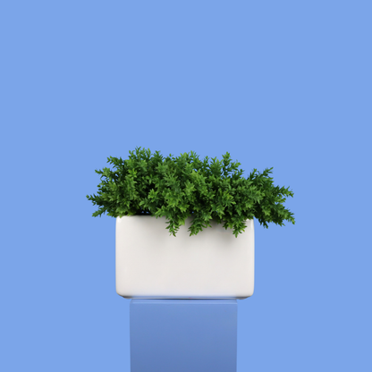 XL- Zurich - Witte plantenbak